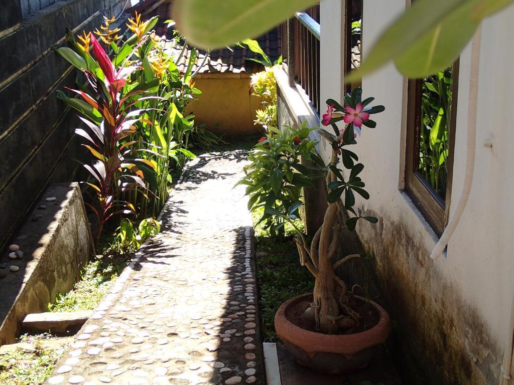 Titi Sedana Homestay Amed Zimmer foto